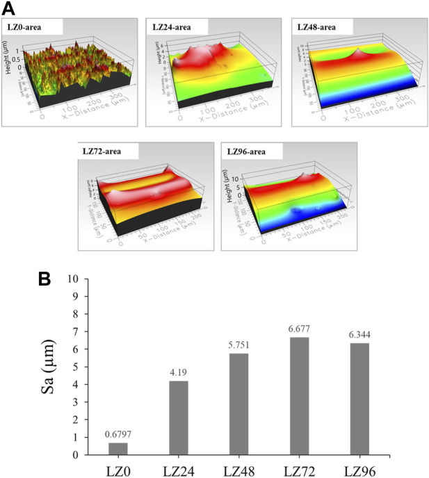 FIGURE 4