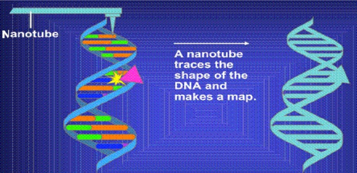 Figure 3: