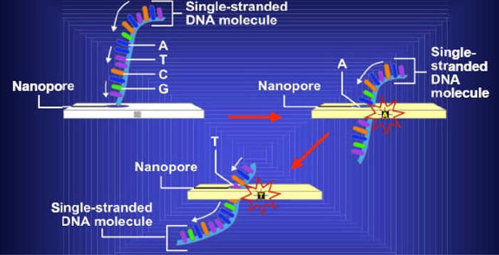 Figure 4: