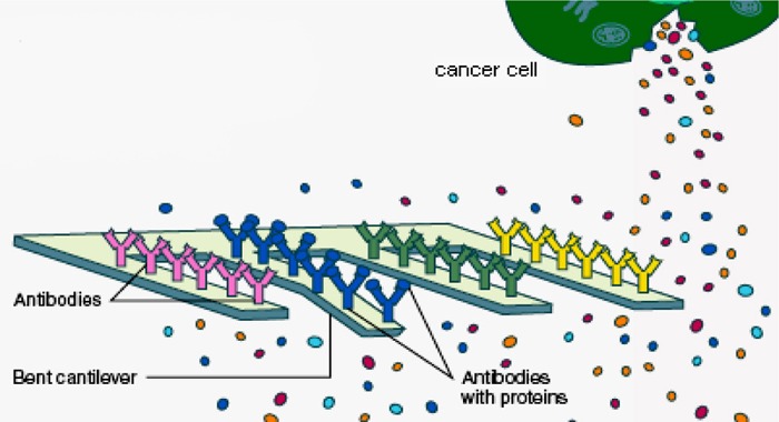 Figure 2: