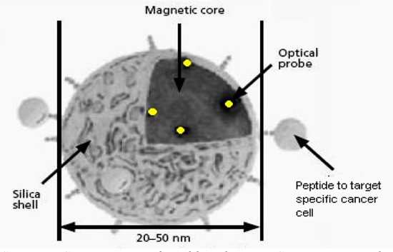 Figure 11: