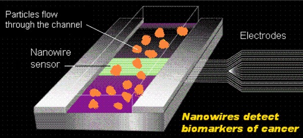 Figure 1: