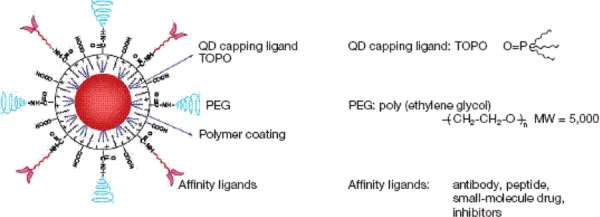 Figure 5: