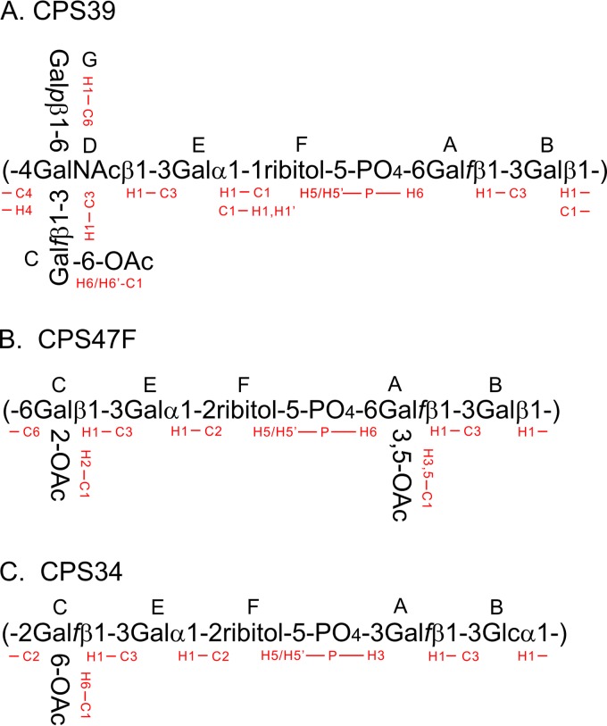 FIG 2