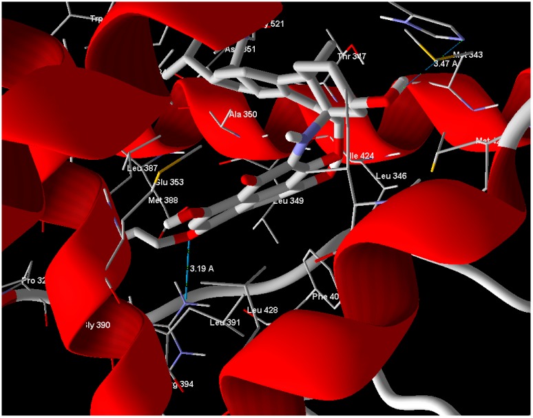 Figure 4