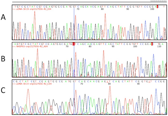 Figure 6