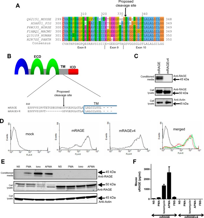 FIGURE 4.