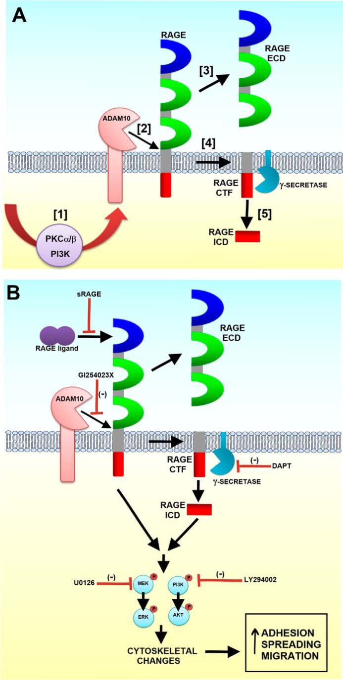 FIGURE 9.