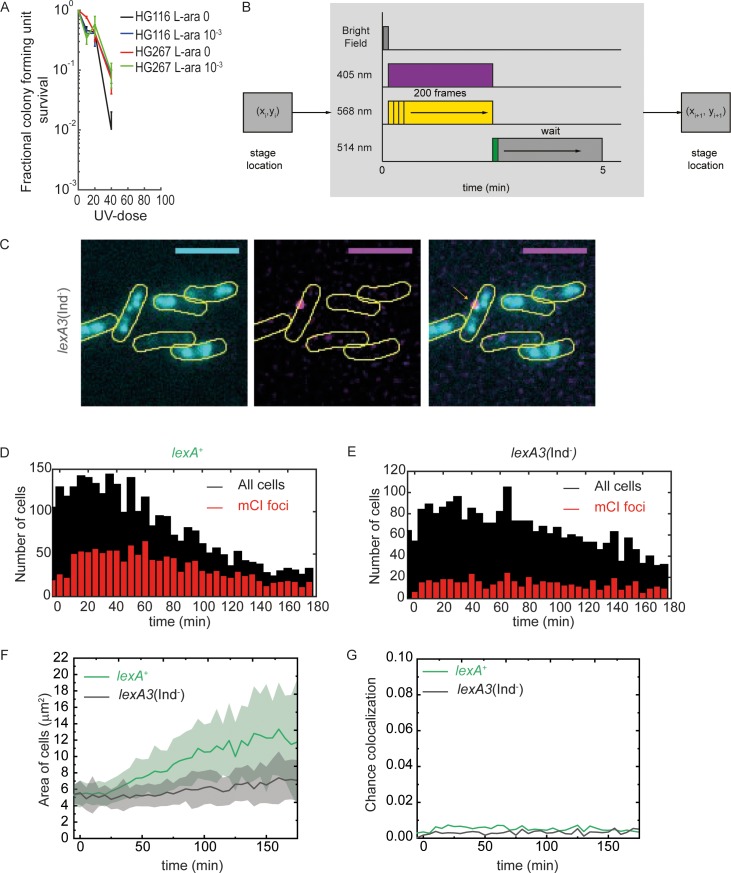 Figure 4—figure supplement 1.