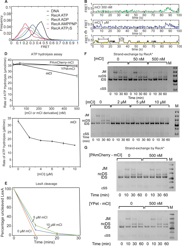 Figure 2—figure supplement 2.