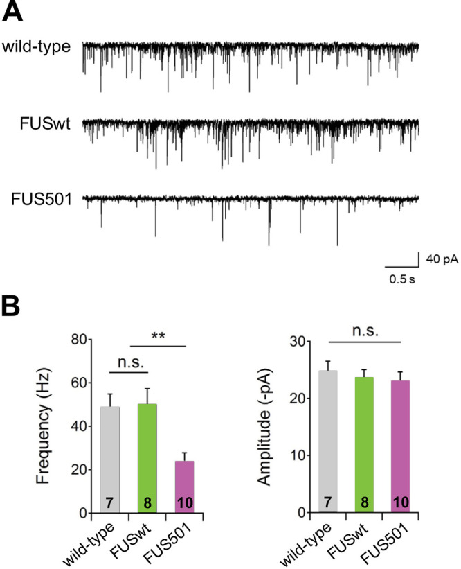 Fig. 7.