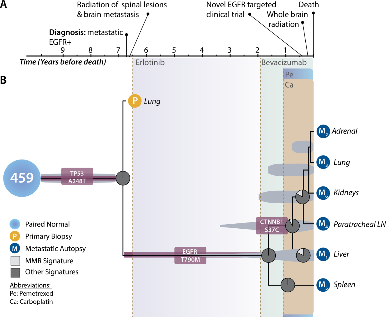 Figure 2: