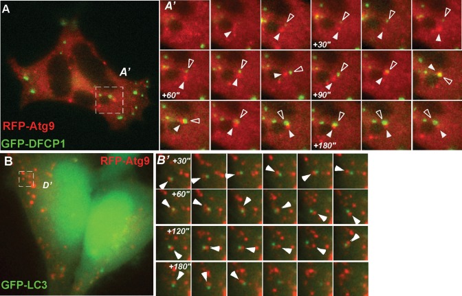 FIGURE 3: