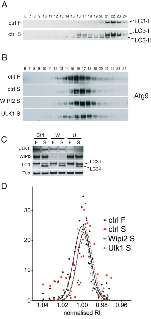 FIGURE 9: