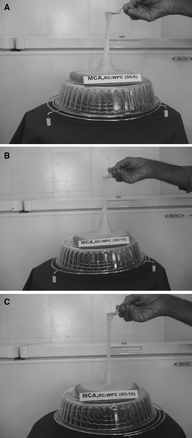 Fig. 2