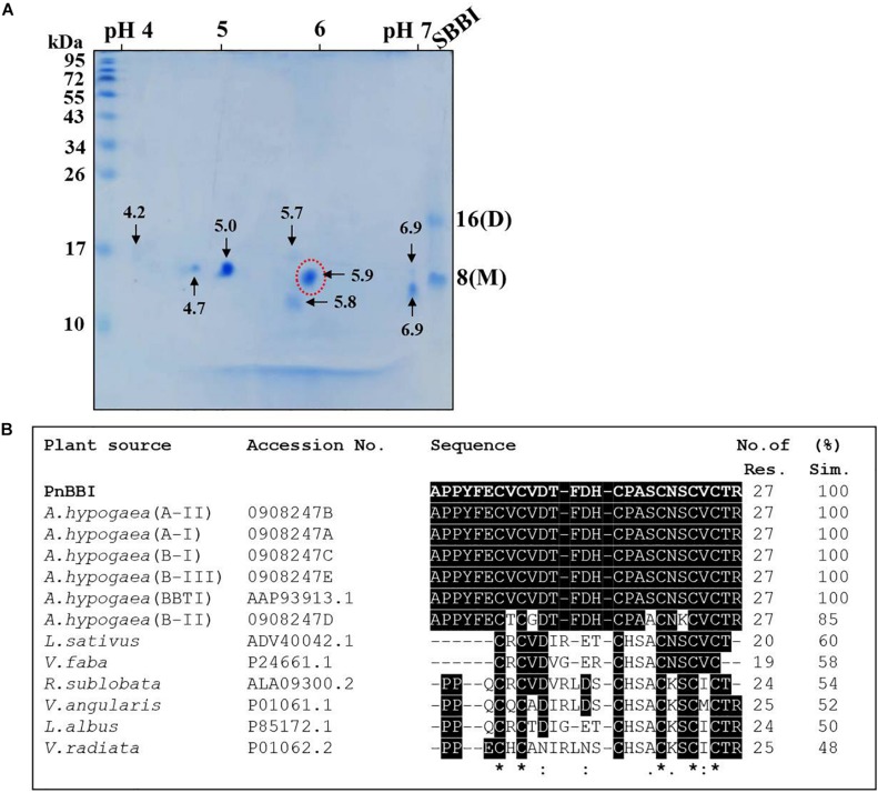 FIGURE 3