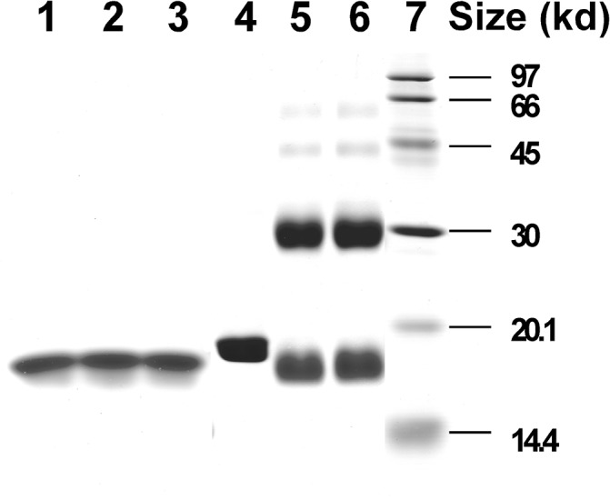 Fig 5