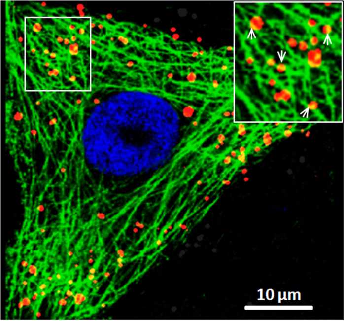 Figure 7