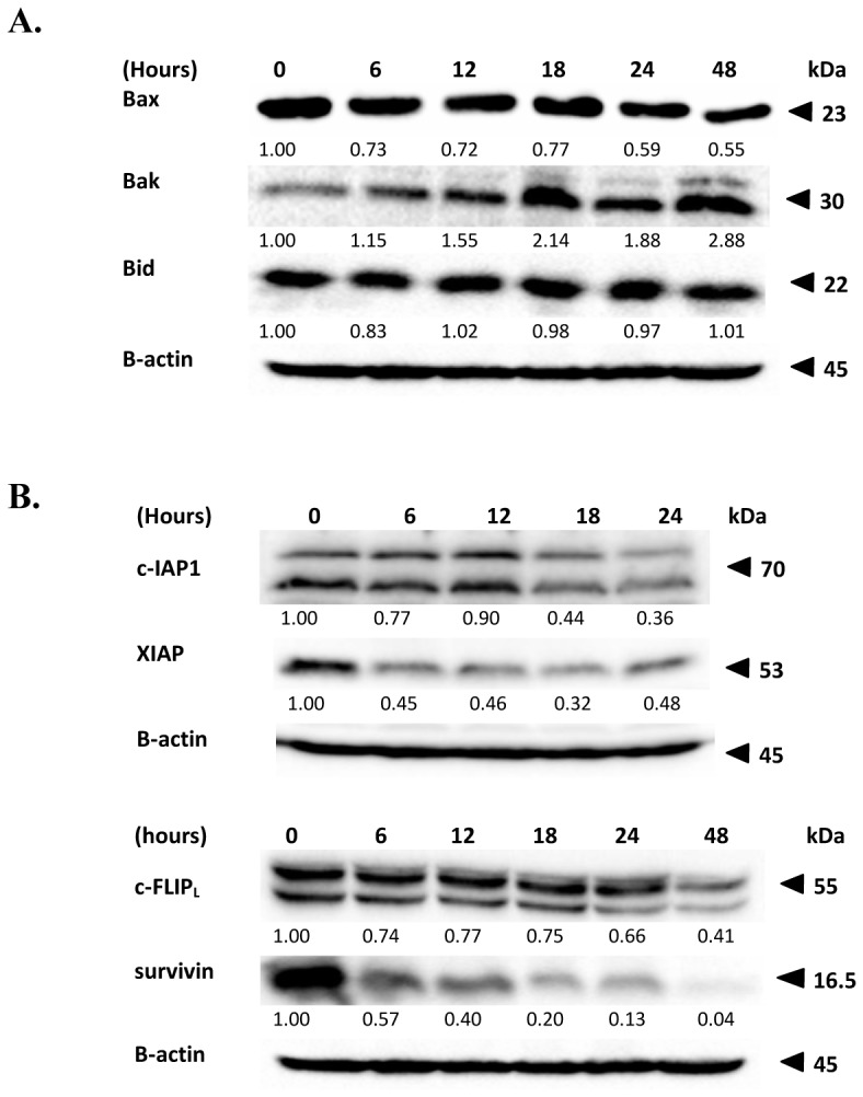 Fig 7