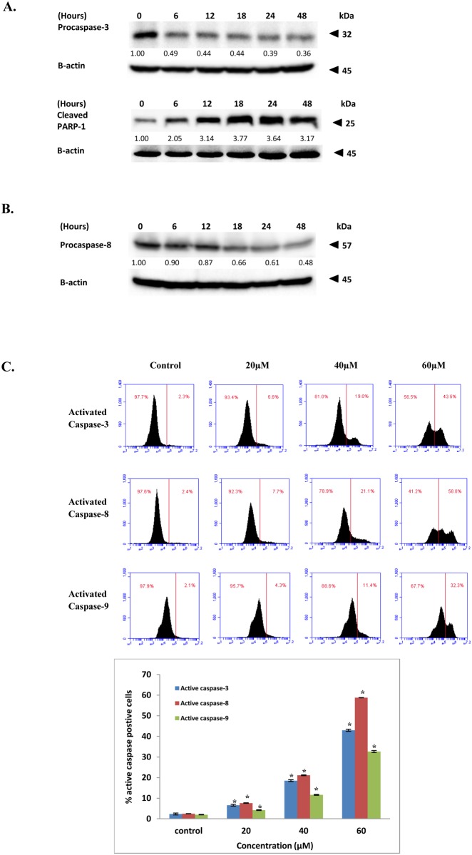 Fig 5