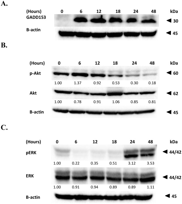 Fig 9