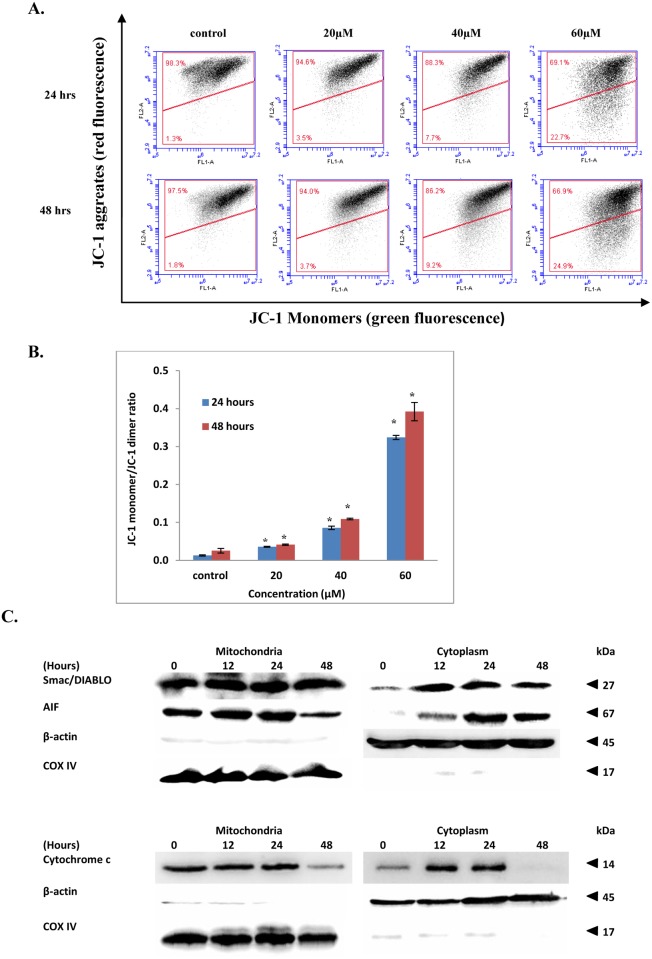 Fig 6