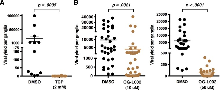 FIG 6 