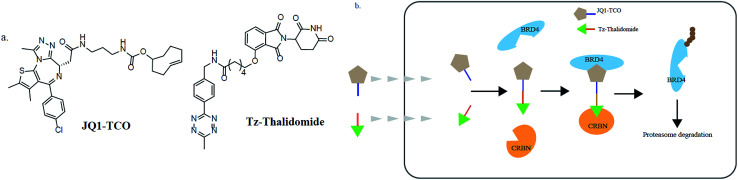 Fig. 7