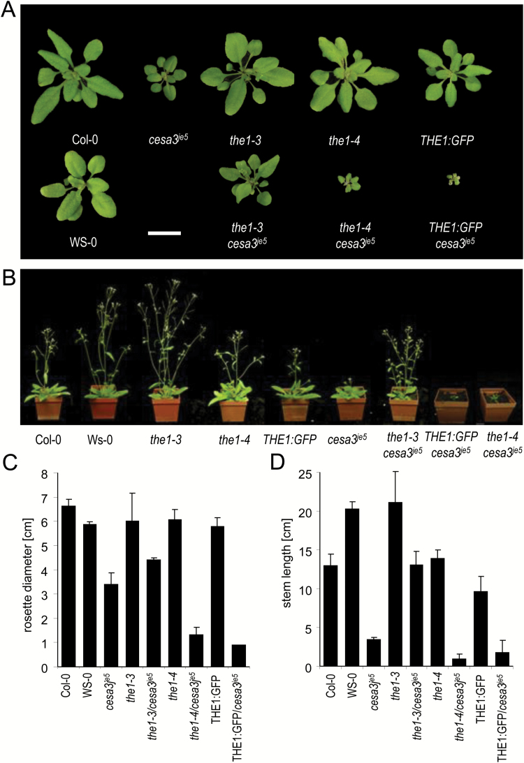 Fig. 3.