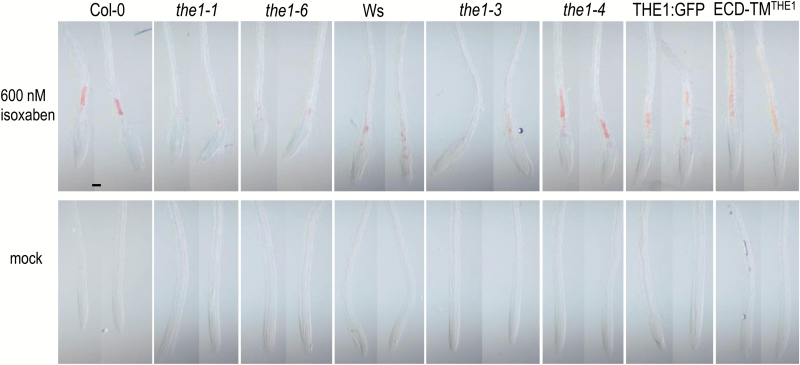 Fig. 6.