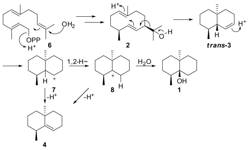 Scheme 1