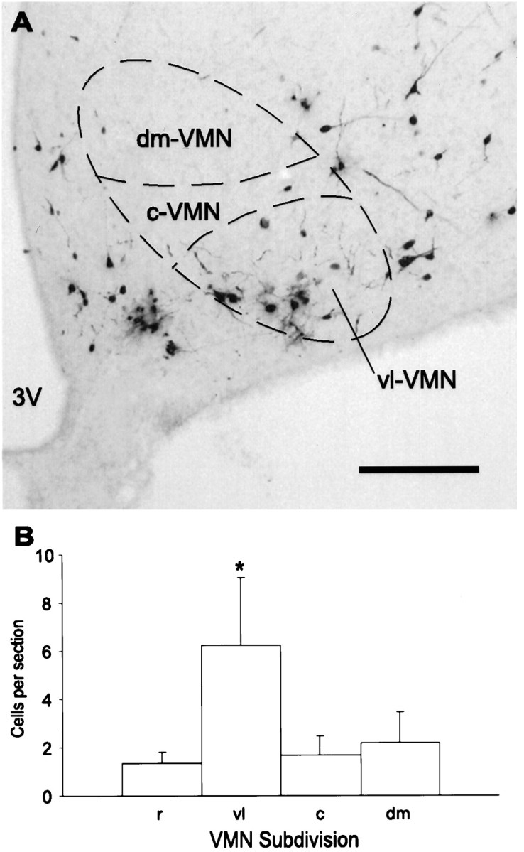 Fig. 8.