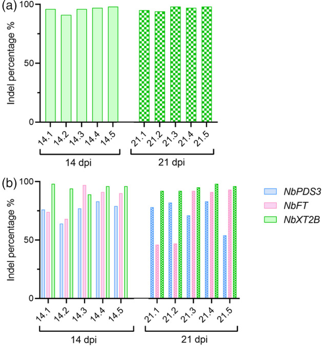 Figure 4