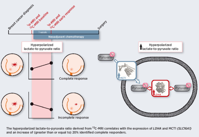 graphic file with name overview_graphic_can-21-1499.jpg