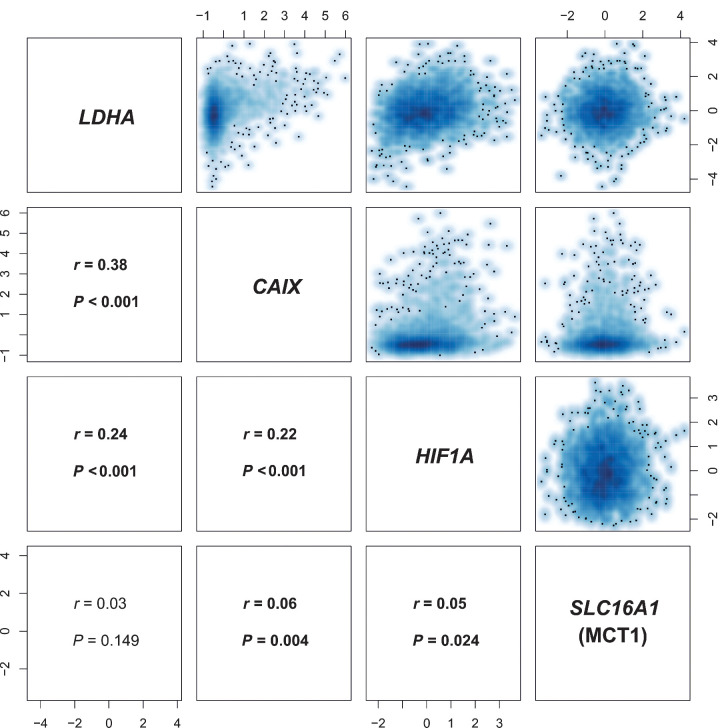 Figure 5. Correlation matrix of LDHA, SLC16A1 (MCT1), CAIX, and HIF1A expression in METABRIC. There is a significant correlation between LDHA and SLC16A1 (MCT1) expression (z-scores) with the hypoxia markers CAIX and HIF1A. r, Pearson correlation coefficient.