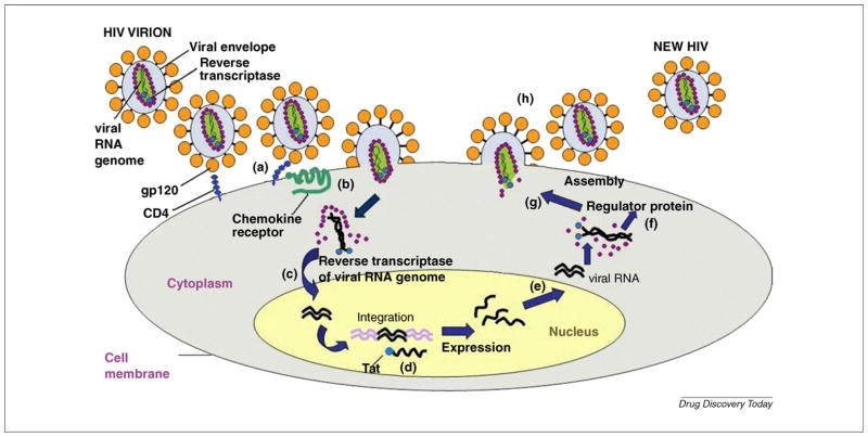 FIGURE 1