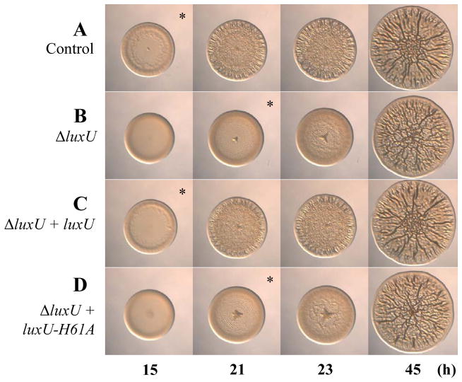 Fig. 7