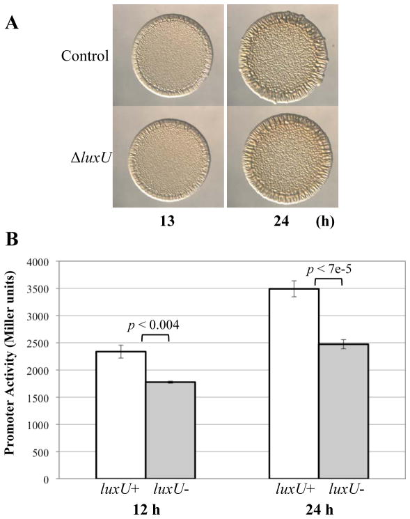 Fig. 9