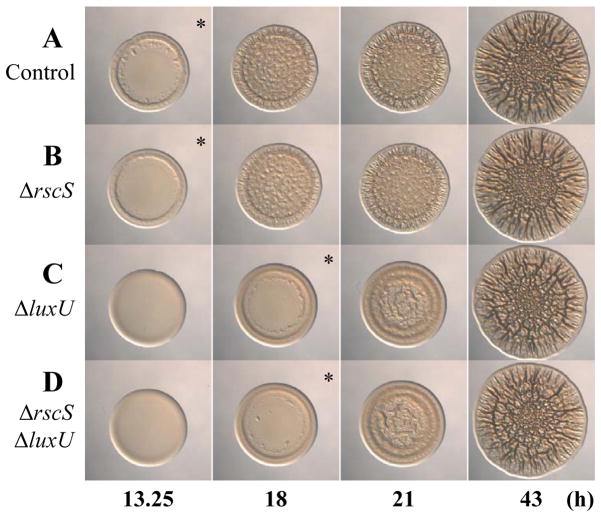 Fig. 8