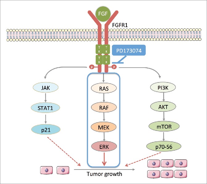 Figure 5.