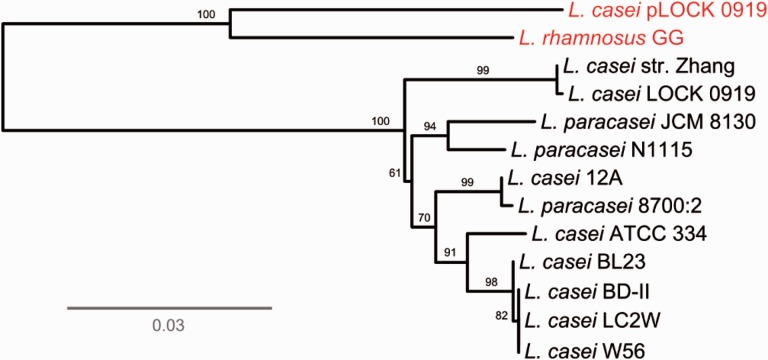 Fig. 4.—