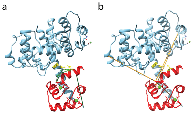 Structural prediction of protein models using distance restraints ...