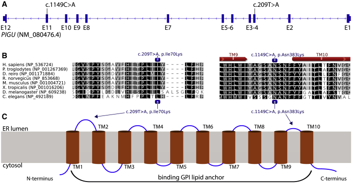 Figure 2