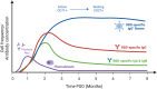 Figure 3.