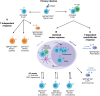 Figure 2.