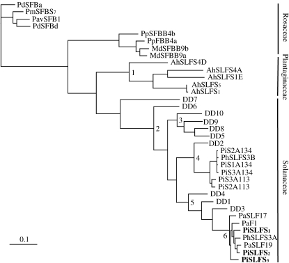 Figure 2.—