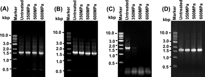 FIG. 8.