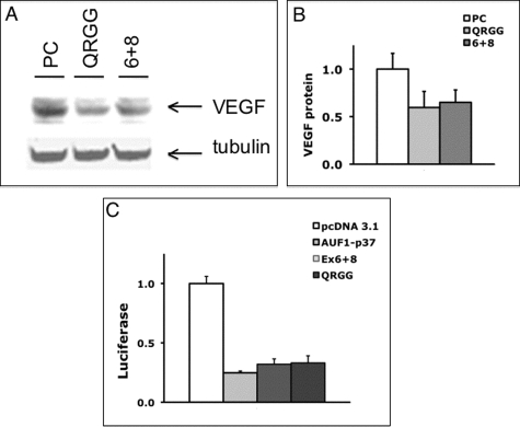 FIGURE 10: