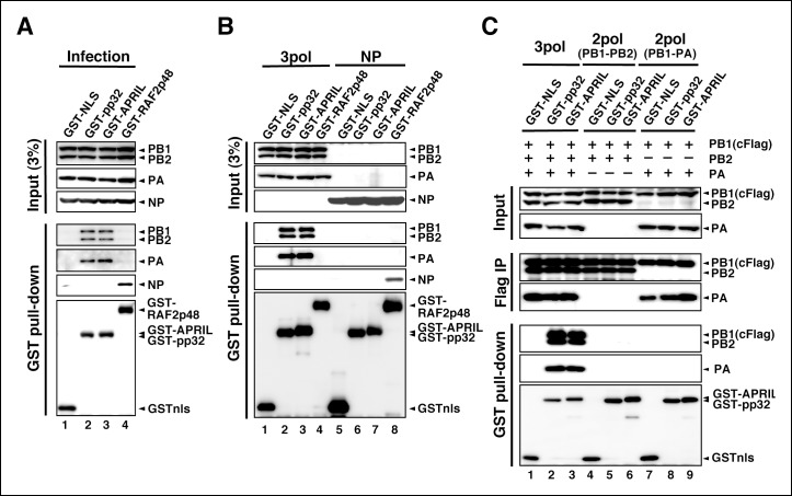 Figure 4.