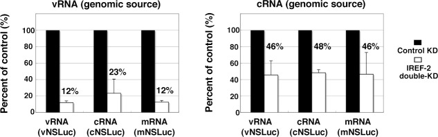 Figure 5—figure supplement 1.